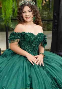 Plus Sized Quince Dresses|Sweet Sixteen^LizLuo Quinceanera 80047