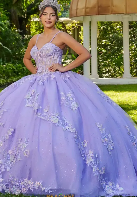 Sweet Sixteen|Plus Sized Quince Dresses^LizLuo Quinceanera 56513