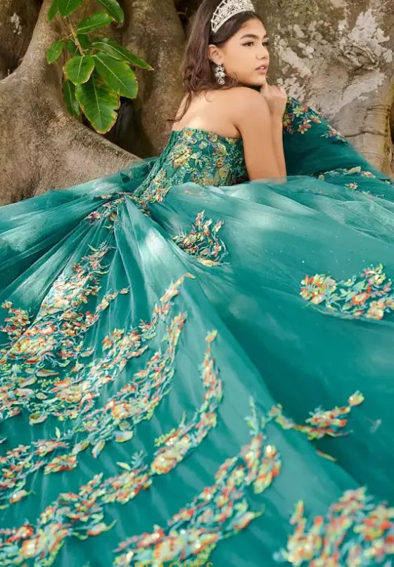 Sweet Sixteen|Plus Sized Quince Dresses^LizLuo Quinceanera 56513