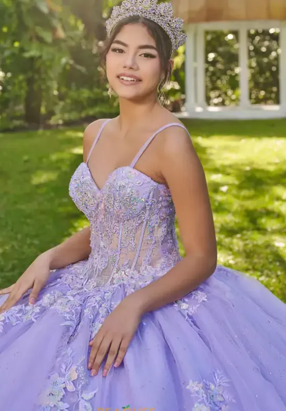 Sweet Sixteen|Plus Sized Quince Dresses^LizLuo Quinceanera 56513
