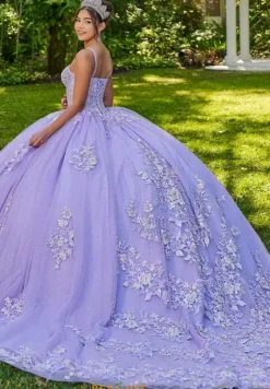 Sweet Sixteen|Plus Sized Quince Dresses^LizLuo Quinceanera 56513
