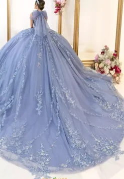 Plus Sized Quince Dresses^LizLuo Quinceanera 80063