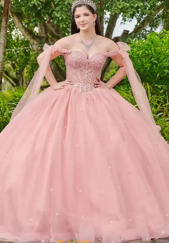 Sweet Sixteen|Plus Sized Quince Dresses^LizLuo Quinceanera 56518