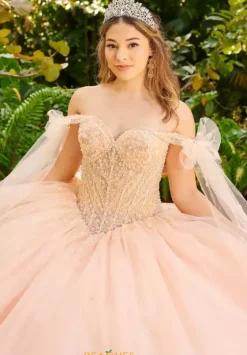 Sweet Sixteen|Plus Sized Quince Dresses^LizLuo Quinceanera 56518
