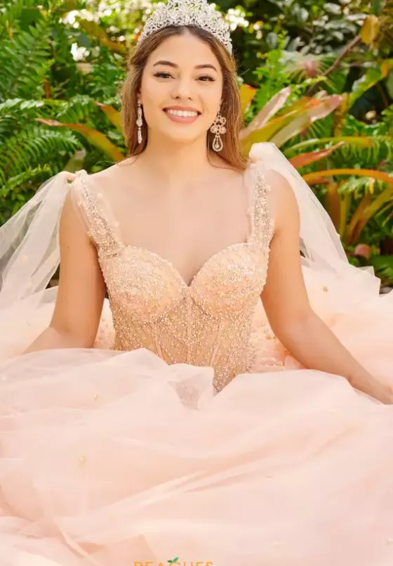 Sweet Sixteen|Plus Sized Quince Dresses^LizLuo Quinceanera 56518