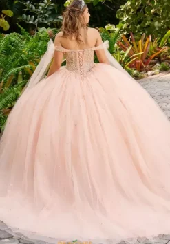 Sweet Sixteen|Plus Sized Quince Dresses^LizLuo Quinceanera 56518