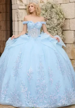 Plus Sized Quince Dresses^LizLuo Quinceanera 26121