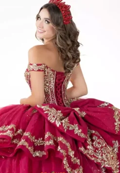 Plus Sized Quince Dresses^LizLuo Quinceanera 26138