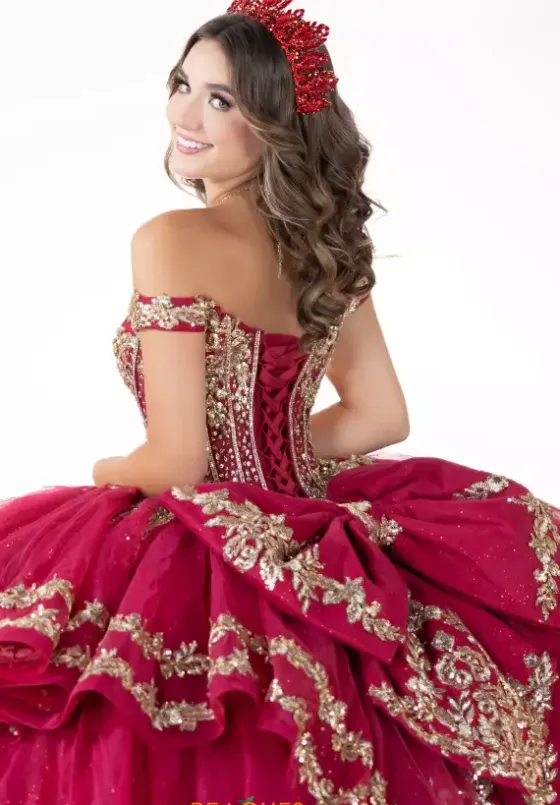 Plus Sized Quince Dresses^LizLuo Quinceanera 26138