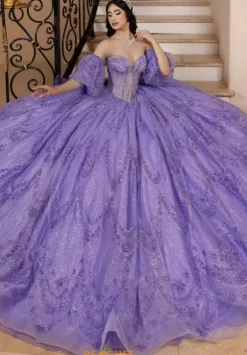Plus Sized Quince Dresses|Sweet Sixteen^LizLuo Quinceanera 26113