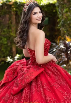 Sweet Sixteen|Plus Sized Quince Dresses^LizLuo Quinceanera 56527