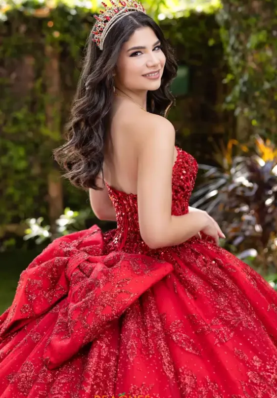 Sweet Sixteen|Plus Sized Quince Dresses^LizLuo Quinceanera 56527