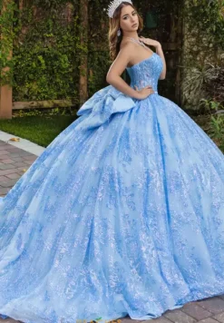 Sweet Sixteen|Plus Sized Quince Dresses^LizLuo Quinceanera 56527