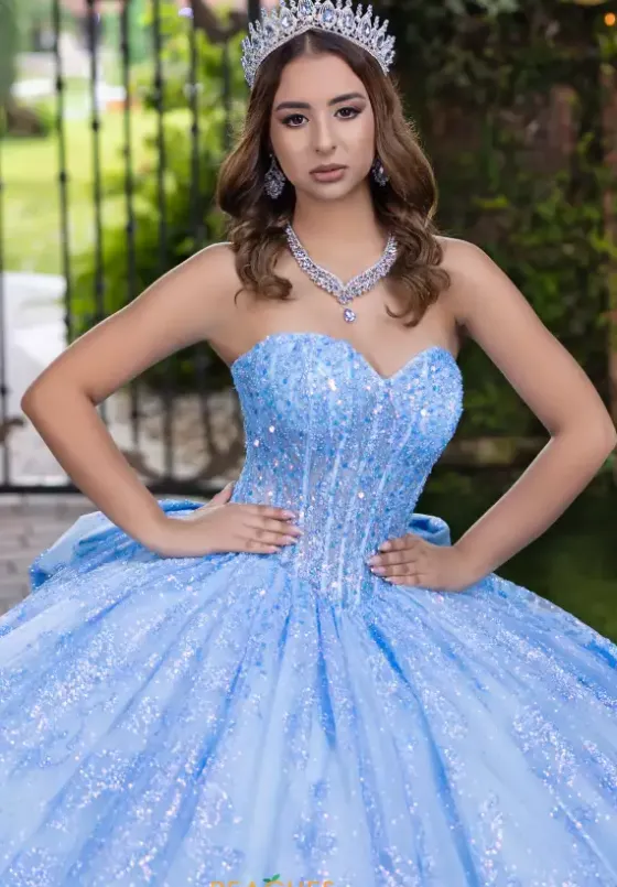Sweet Sixteen|Plus Sized Quince Dresses^LizLuo Quinceanera 56527