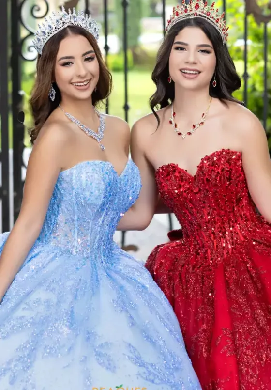 Sweet Sixteen|Plus Sized Quince Dresses^LizLuo Quinceanera 56527