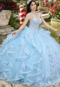 Sweet Sixteen|Plus Sized Quince Dresses^LizLuo Quinceanera 26112