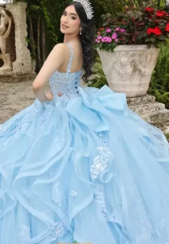 Sweet Sixteen|Plus Sized Quince Dresses^LizLuo Quinceanera 26112