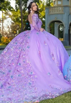 Quince Dresses With Sleeves|Plus Sized Quince Dresses^LizLuo Quinceanera 26093