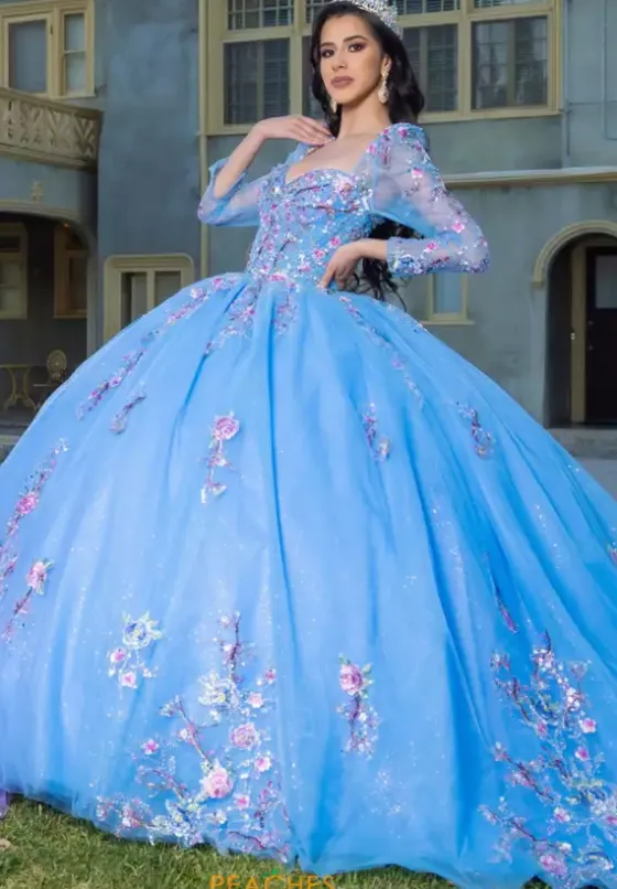 Quince Dresses With Sleeves|Plus Sized Quince Dresses^LizLuo Quinceanera 26093