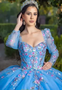 Quince Dresses With Sleeves|Plus Sized Quince Dresses^LizLuo Quinceanera 26093