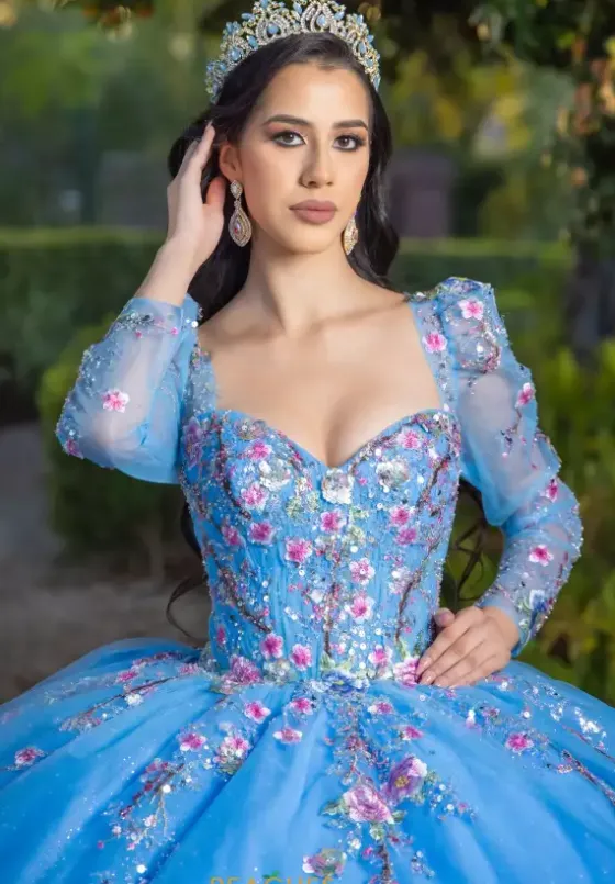 Quince Dresses With Sleeves|Plus Sized Quince Dresses^LizLuo Quinceanera 26093