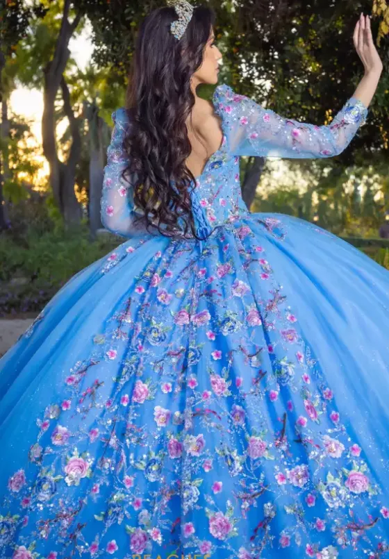 Quince Dresses With Sleeves|Plus Sized Quince Dresses^LizLuo Quinceanera 26093