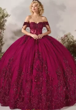 Plus Sized Quince Dresses^LizLuo Quinceanera 26120
