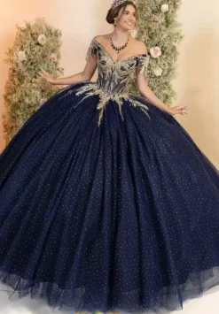 Plus Sized Quince Dresses^LizLuo Quinceanera 56555