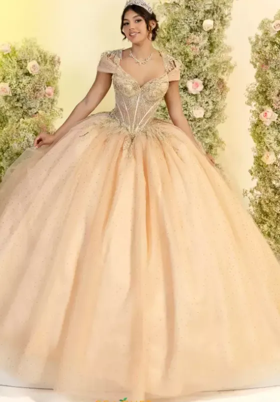 Plus Sized Quince Dresses^LizLuo Quinceanera 56555