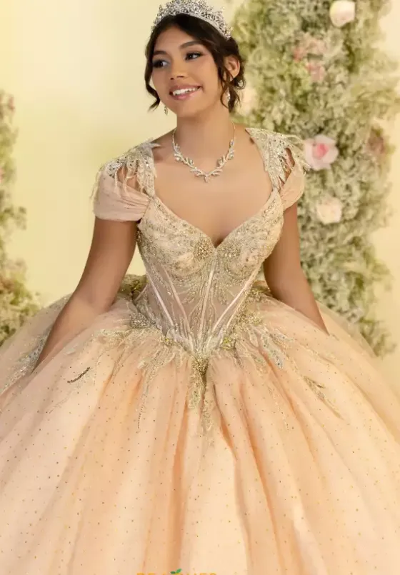Plus Sized Quince Dresses^LizLuo Quinceanera 56555
