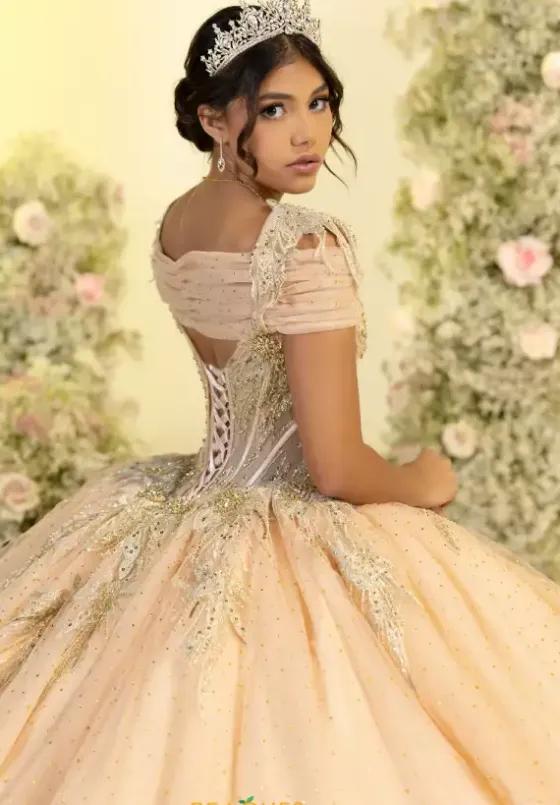 Plus Sized Quince Dresses^LizLuo Quinceanera 56555