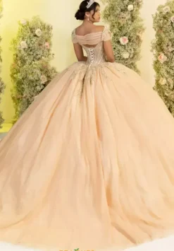 Plus Sized Quince Dresses^LizLuo Quinceanera 56555