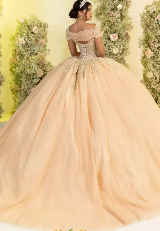 Plus Sized Quince Dresses^LizLuo Quinceanera 56555