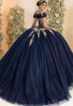 Plus Sized Quince Dresses^LizLuo Quinceanera 56555