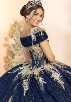 Plus Sized Quince Dresses^LizLuo Quinceanera 56555