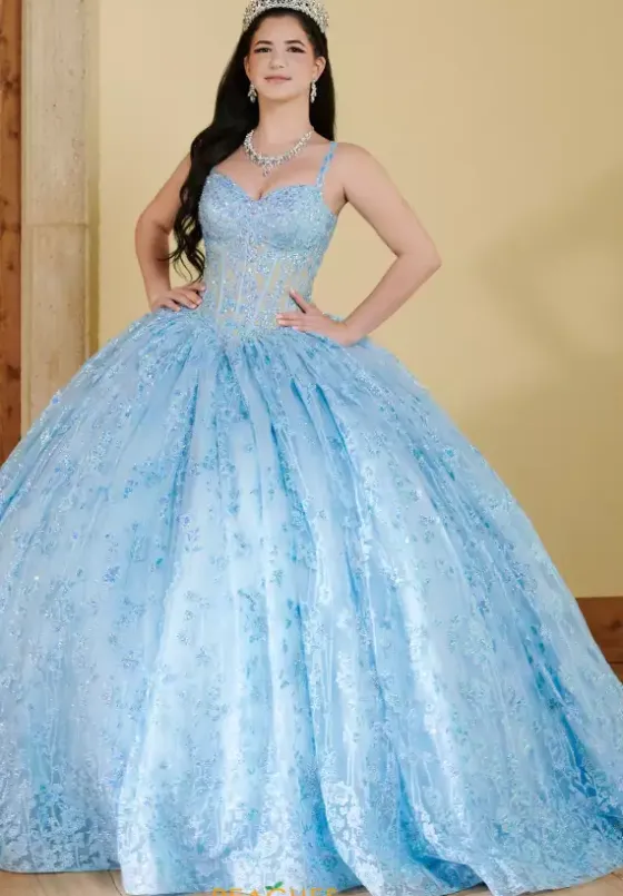 Sweet Sixteen|Plus Sized Quince Dresses^LizLuo Quinceanera 56510