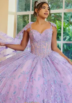 Sweet Sixteen|Plus Sized Quince Dresses^LizLuo Quinceanera 56510