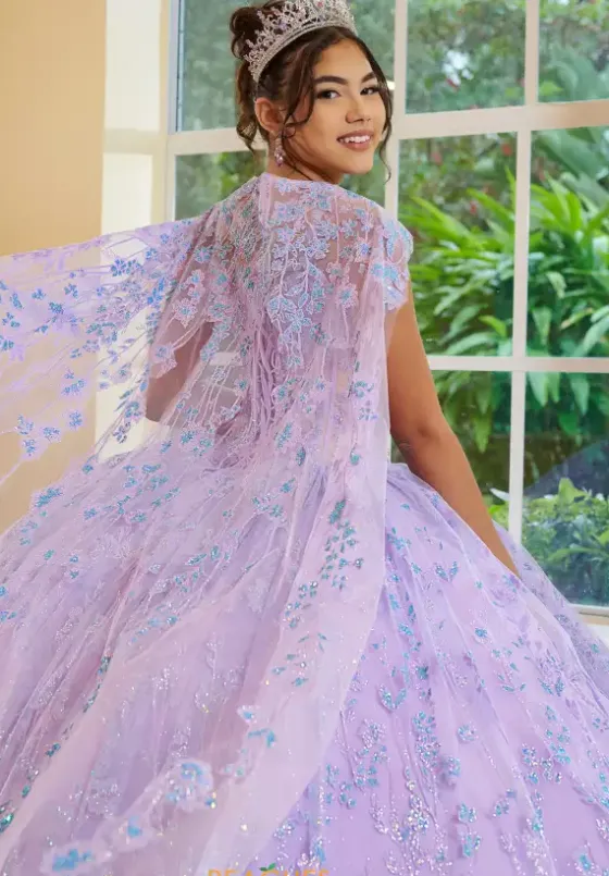 Sweet Sixteen|Plus Sized Quince Dresses^LizLuo Quinceanera 56510