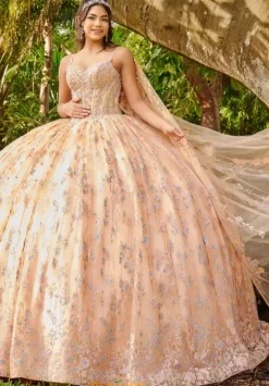 Sweet Sixteen|Plus Sized Quince Dresses^LizLuo Quinceanera 56510