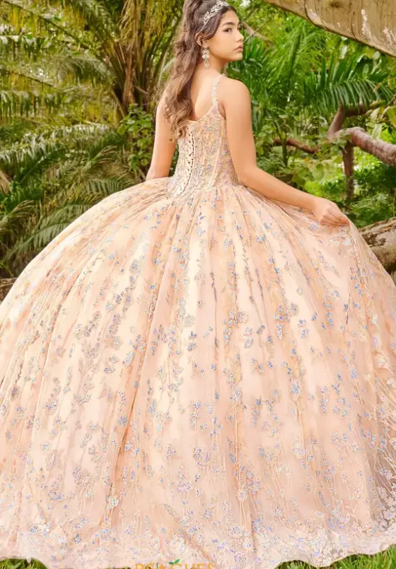 Sweet Sixteen|Plus Sized Quince Dresses^LizLuo Quinceanera 56510