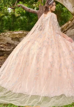 Sweet Sixteen|Plus Sized Quince Dresses^LizLuo Quinceanera 56510