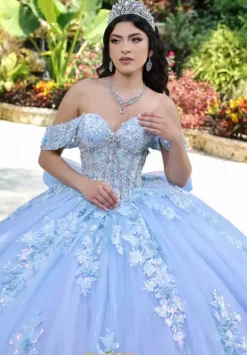 Sweet Sixteen|Plus Sized Quince Dresses^LizLuo Quinceanera 26100