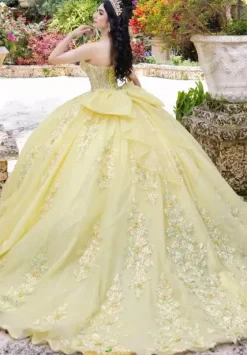 Sweet Sixteen|Plus Sized Quince Dresses^LizLuo Quinceanera 26100