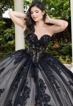 Sweet Sixteen|Plus Sized Quince Dresses^LizLuo Quinceanera 56530