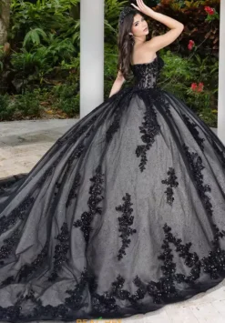 Sweet Sixteen|Plus Sized Quince Dresses^LizLuo Quinceanera 56530