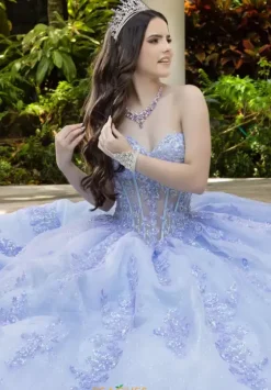 Sweet Sixteen|Plus Sized Quince Dresses^LizLuo Quinceanera 56530