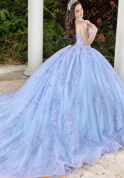 Sweet Sixteen|Plus Sized Quince Dresses^LizLuo Quinceanera 56530