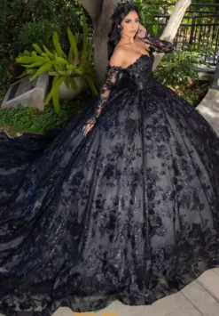 Quince Dresses With Sleeves|Plus Sized Quince Dresses^LizLuo Quinceanera 26092