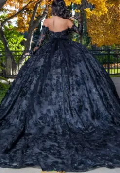 Quince Dresses With Sleeves|Plus Sized Quince Dresses^LizLuo Quinceanera 26092