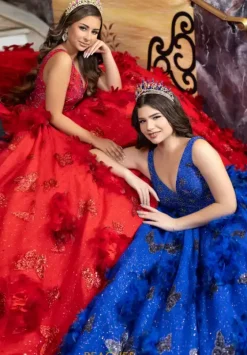 Plus Sized Quince Dresses|Sweet Sixteen^LizLuo Quinceanera 80032